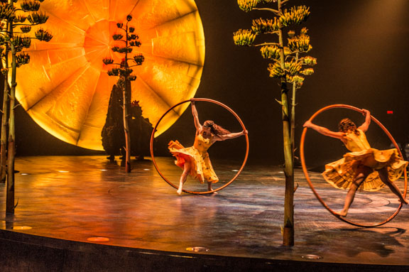cirque-du-soleil-luzia-7