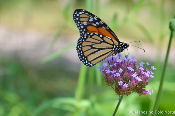 forks-of-the-credit-provincial-park-1