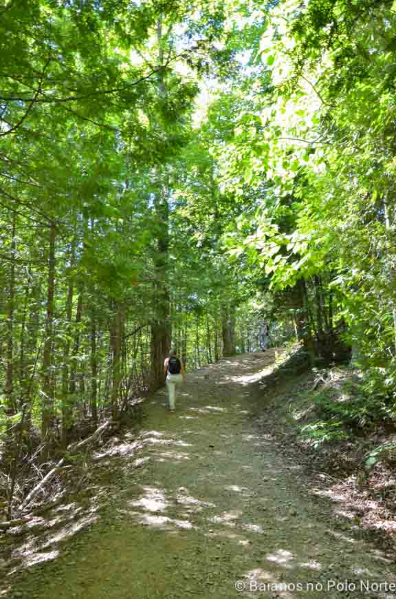 forks-of-the-credit-provincial-park-11