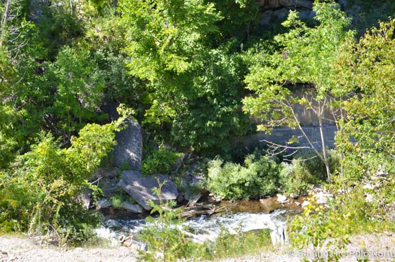 forks-of-the-credit-provincial-park-13