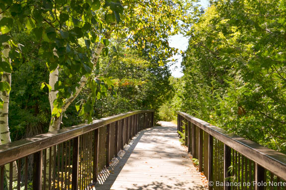 forks-of-the-credit-provincial-park-19