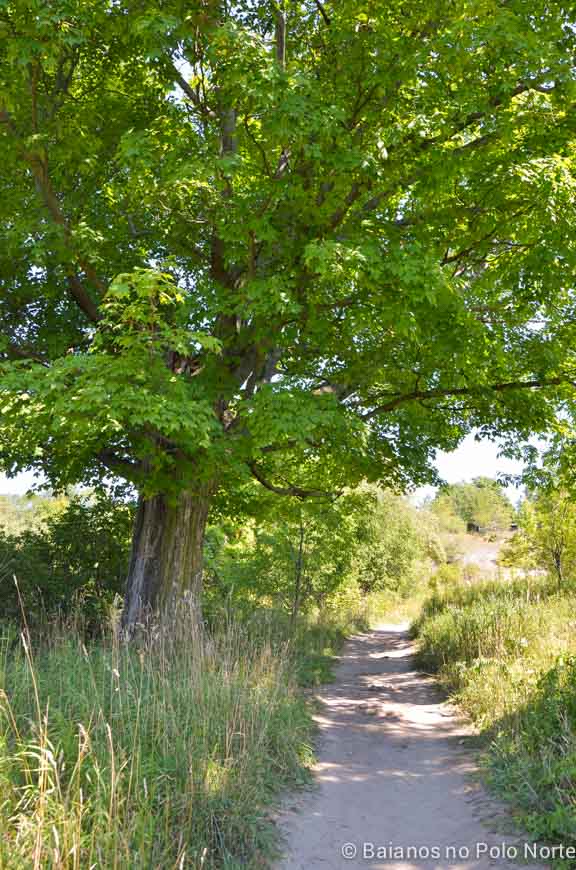 forks-of-the-credit-provincial-park-2