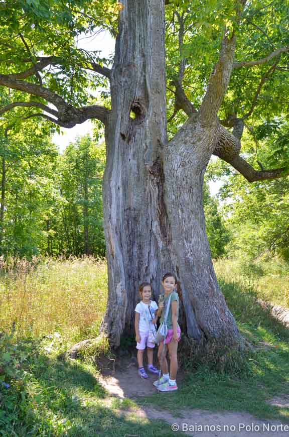 forks-of-the-credit-provincial-park-5