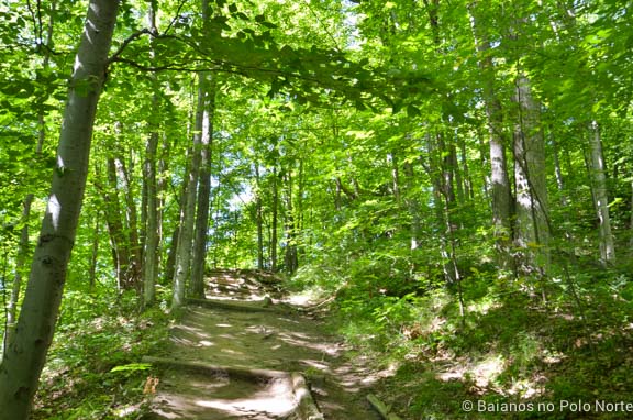 forks-of-the-credit-provincial-park-7