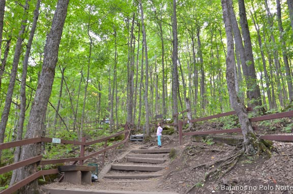blue-mountain-scenic-caves-ponte-10