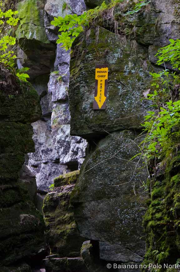 blue-mountain-scenic-caves-ponte-18