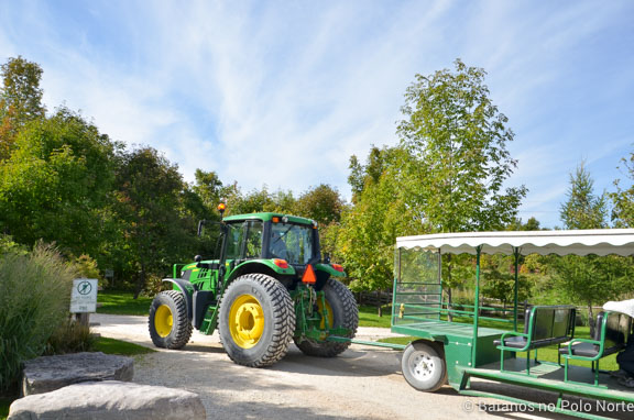 blue-mountain-scenic-caves-ponte-2