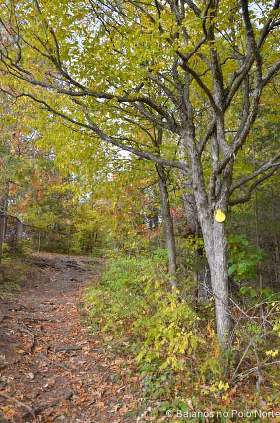 ferris-provincial-park-baianos-16