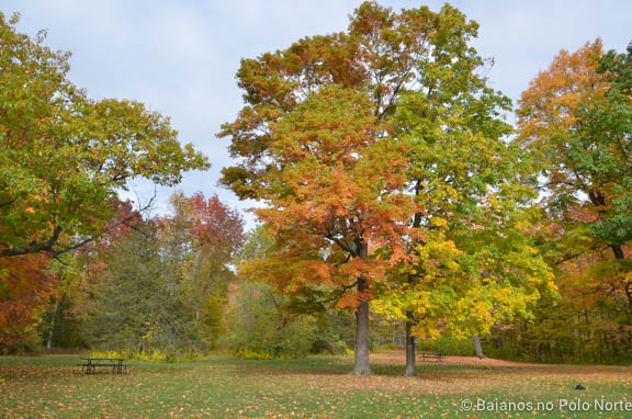 ferris-provincial-park-baianos-17