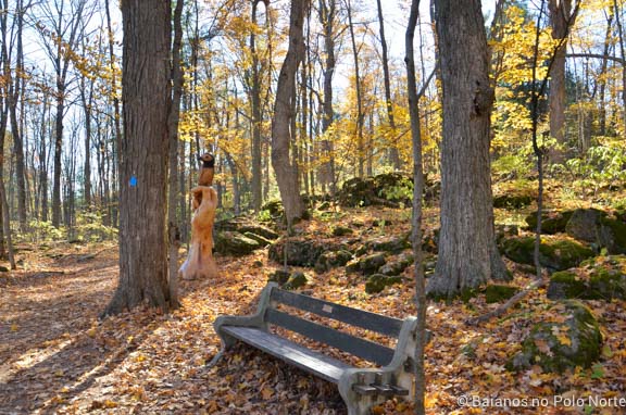 crawford-lake-halton-10