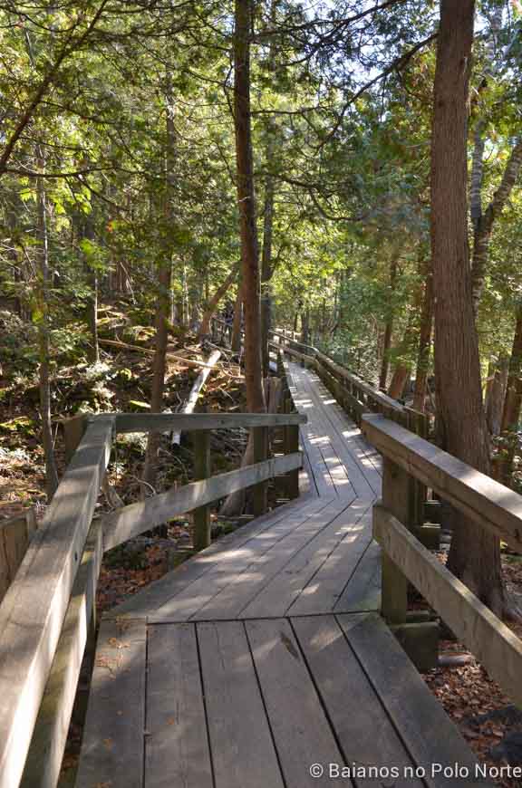 crawford-lake-halton-13