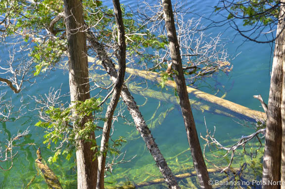 crawford-lake-halton-14