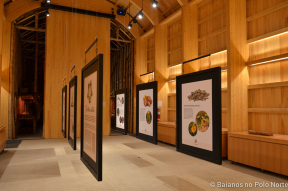 crawford-lake-halton-6