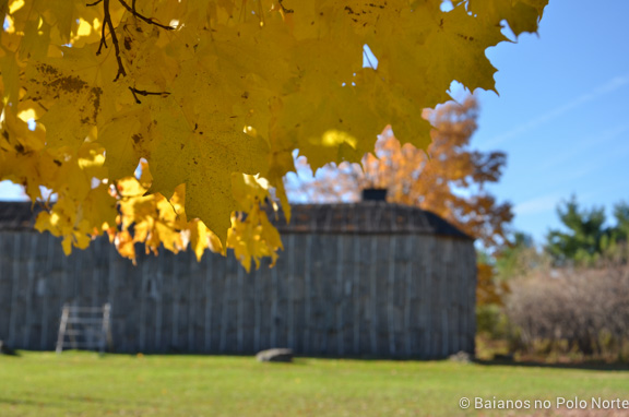 crawford-lake-halton-8