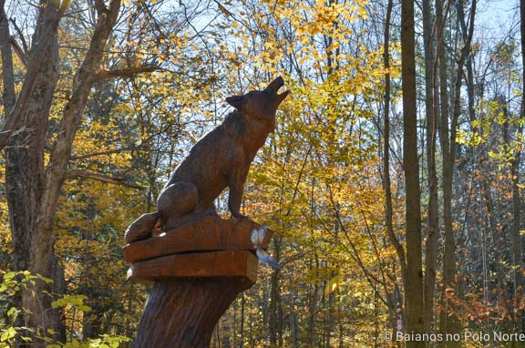 crawford-lake-halton-9