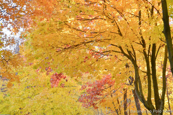 rattlesnake-point-halton-10