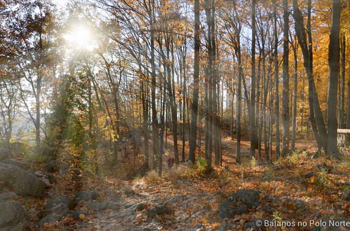 rattlesnake-point-halton-11