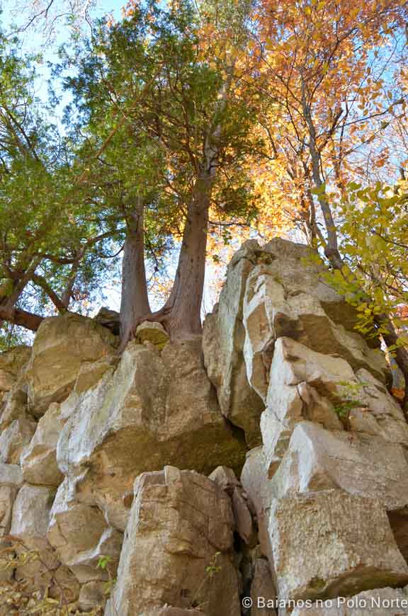 rattlesnake-point-halton-6