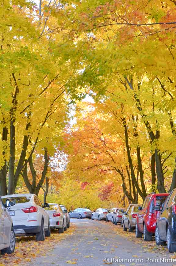 rattlesnake-point-halton-9