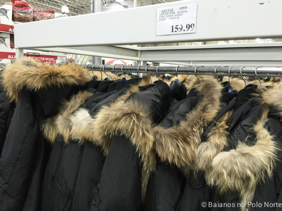 costco-baianos-no-polo-norte-16