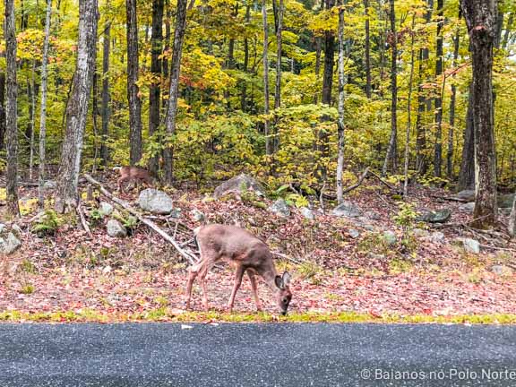 Killbear Provincial Park
