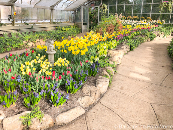 Centennial park conservatory