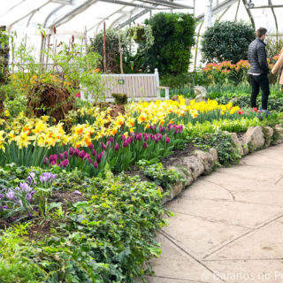 Centennial park conservatory