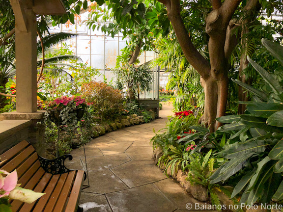 Centennial park conservatory