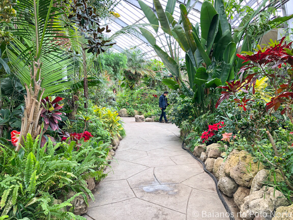Centennial park conservatory