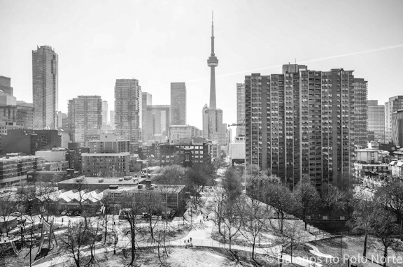 Bairro de Toronto