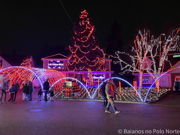 Wild Cherry Lights Natal