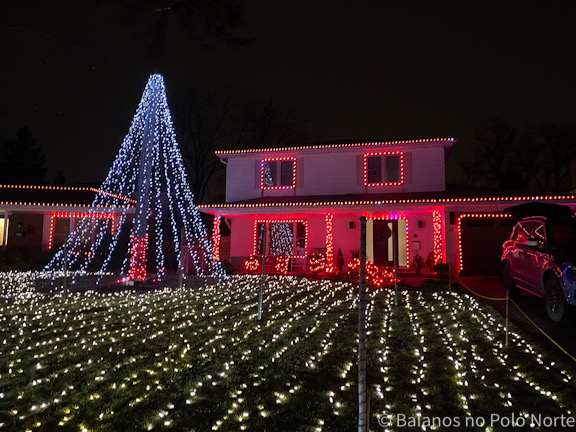 Wild Cherry Lights Natal