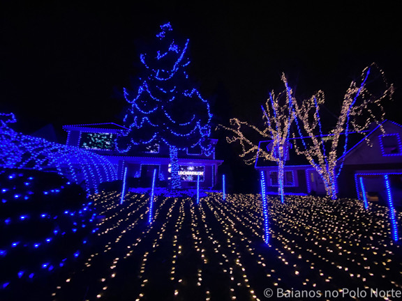 Wild Cherry Lights Natal