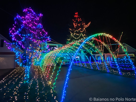 Natal Wild Cherry Lights