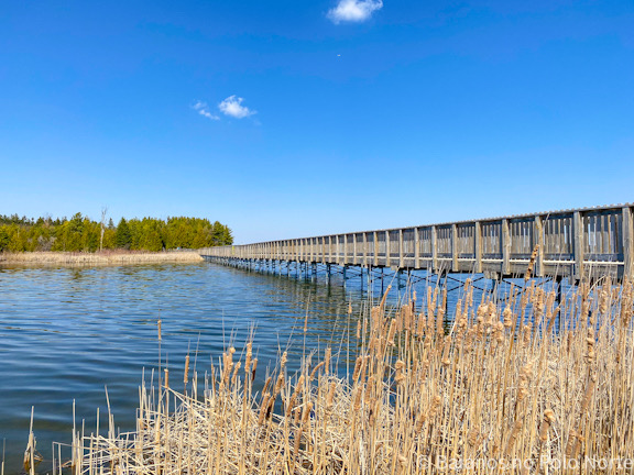 Island Lake Conservation Area