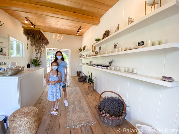 Purple Hill Lavander