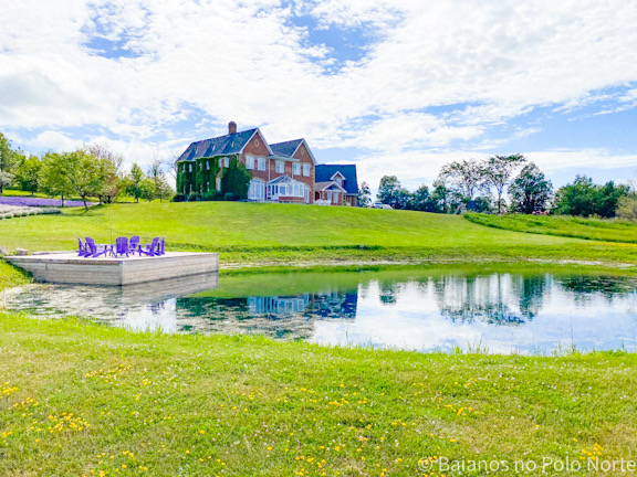 Purple Hill Lavender