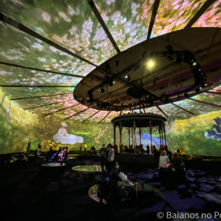 Beyond Monet Toronto